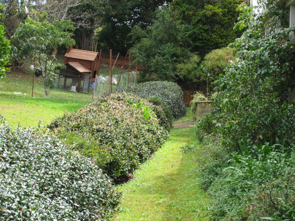 Eden Lodge Nambour Extérieur photo